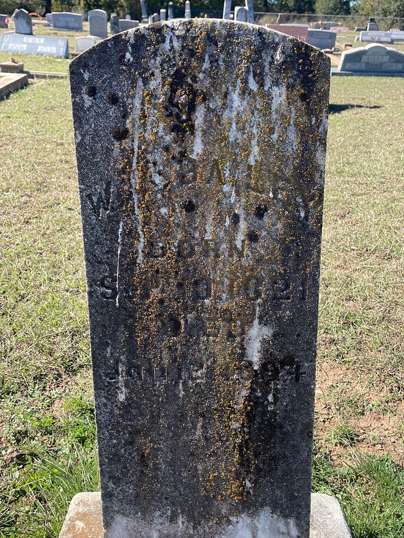 W. L. Bailey's grave. Photo 1