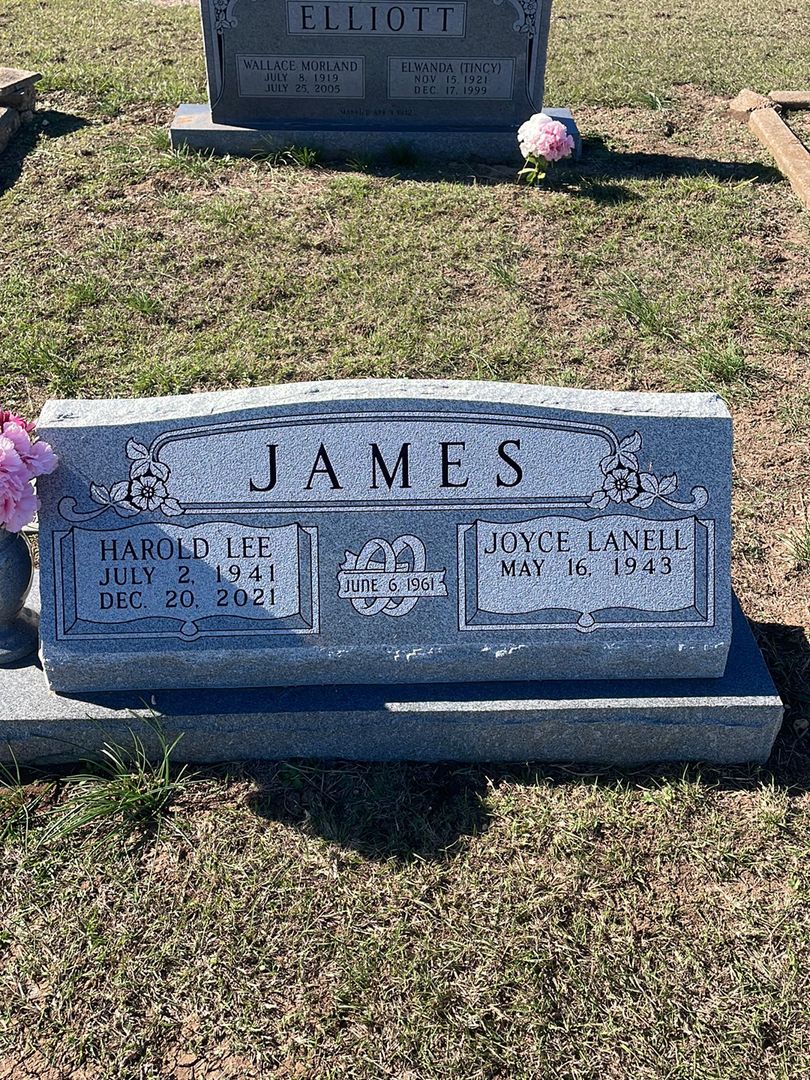 Harold Lee James's grave. Photo 1