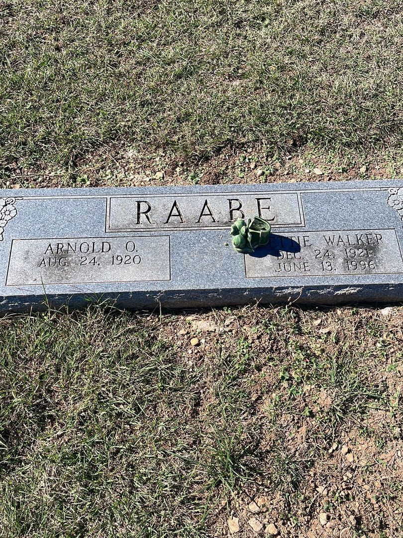 Arnold Otto Raabe's grave. Photo 1