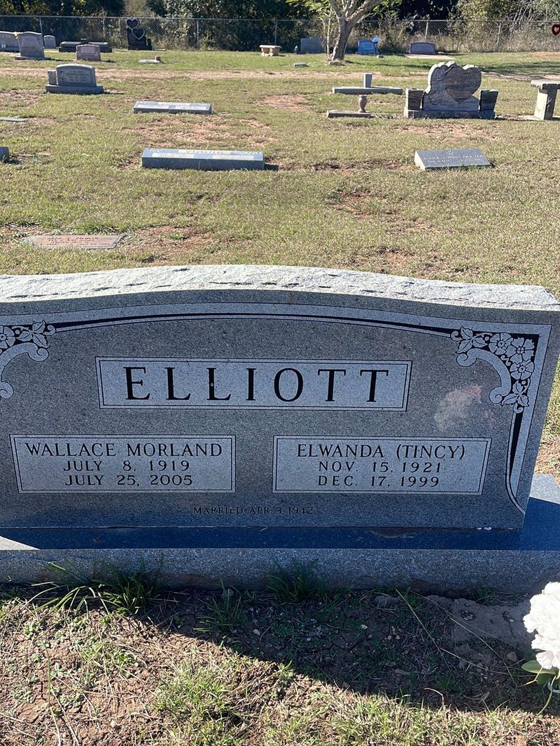 Wallace Morland Elliott's grave. Photo 1