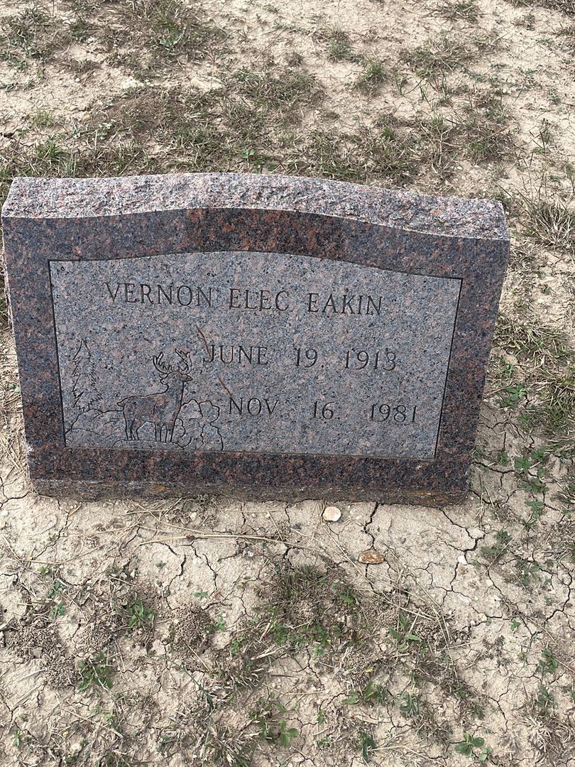 Vernon Elec Eakin's grave. Photo 1