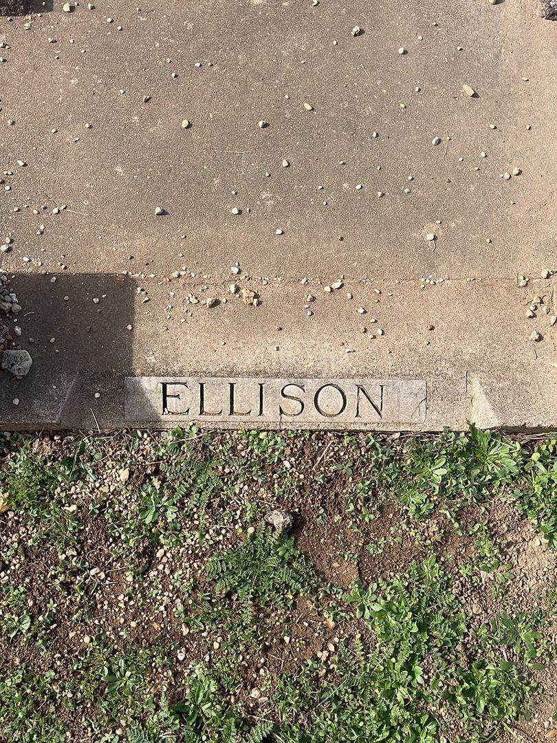 Willie A. Ellison's grave. Photo 1