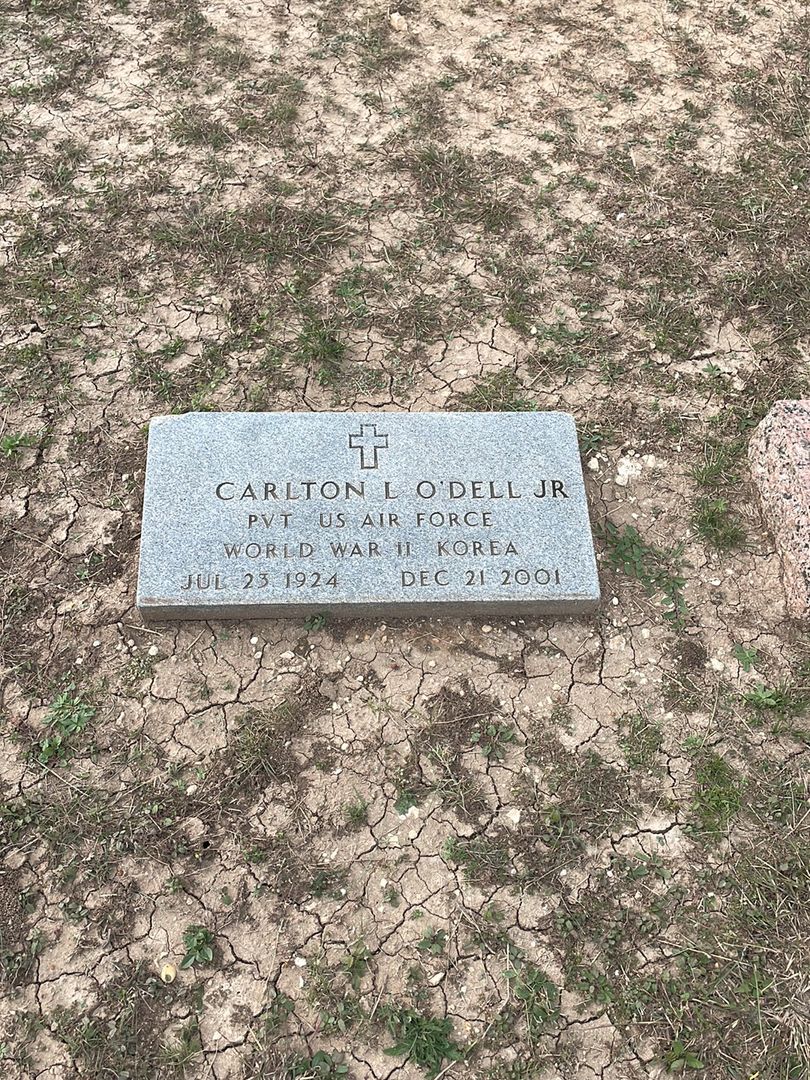 Carlton L. O'Dell Junior's grave. Photo 1