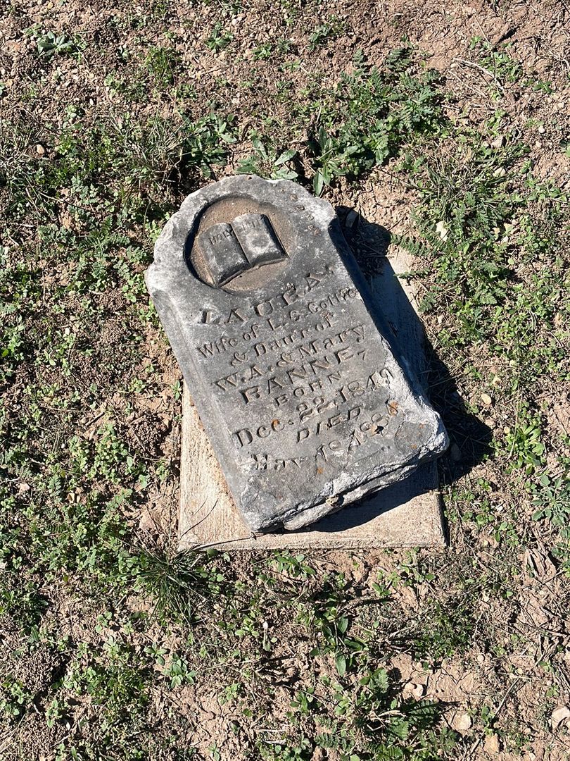 Laura Ranne Cottle's grave. Photo 1